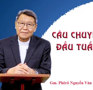 Giới trẻ và Chúa nhật Lễ Lá