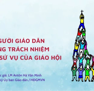 Người giáo dân đồng trách nhiệm trong sứ vụ của Giáo hội