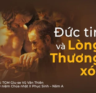 “Đức tin và Lòng thương xót” – Chúa Nhật Phục Sinh – Năm A