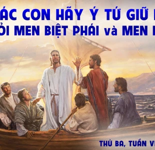 Thứ ba tuần VI thường niên