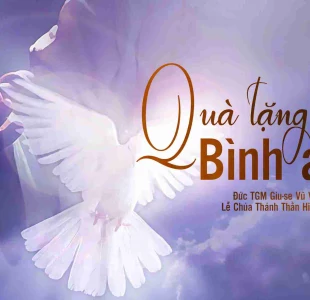 Quà tặng Bình An - Lễ Chúa Thánh Thần Hiện Xuống