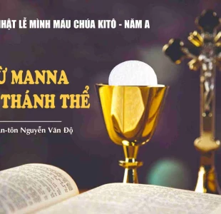 Lễ Mình Máu Chúa Kitô - Năm A