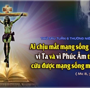 Thứ sáu tuần VI thường niên