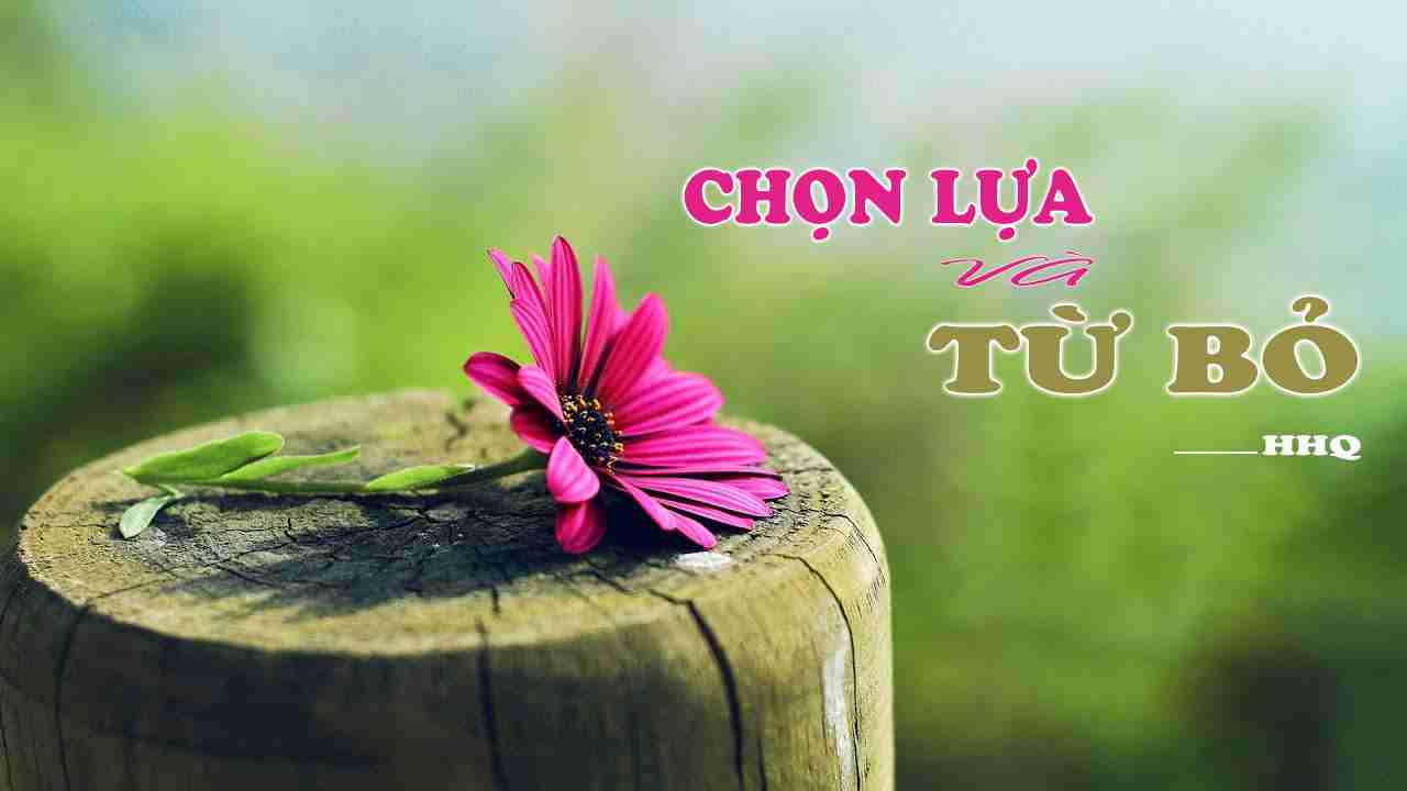 Lựa chọn và từ bỏ