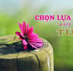 Lựa chọn và từ bỏ