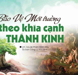 Bảo vệ môi trường theo khía cạnh Thánh Kinh