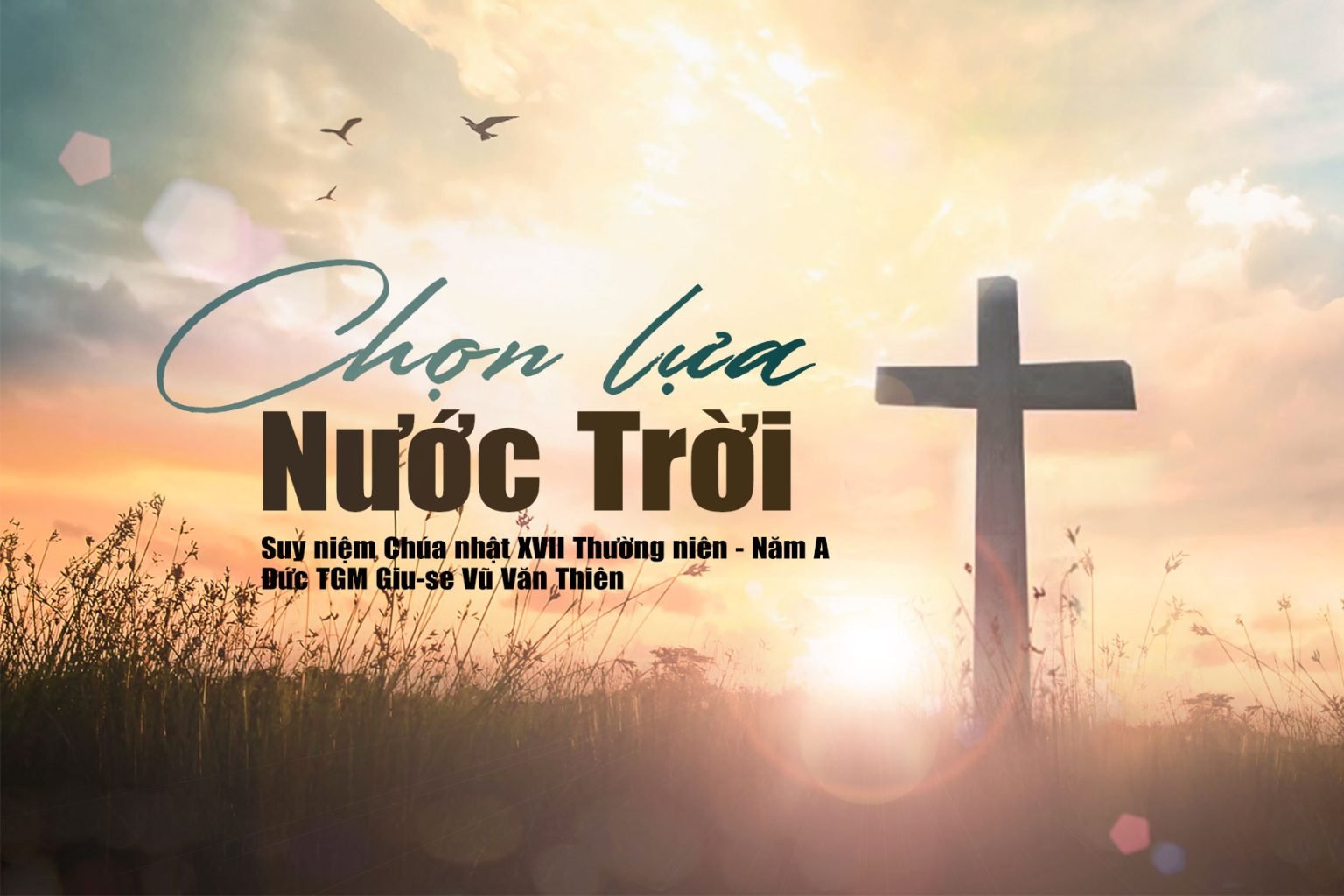 Chọn lựa Nước Trời – Chúa nhật XVII thường niên – Năm A