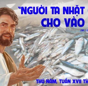 Cá tốt cho vào giỏ (03.08.2023 – Thứ Năm Tuần 17 TN)