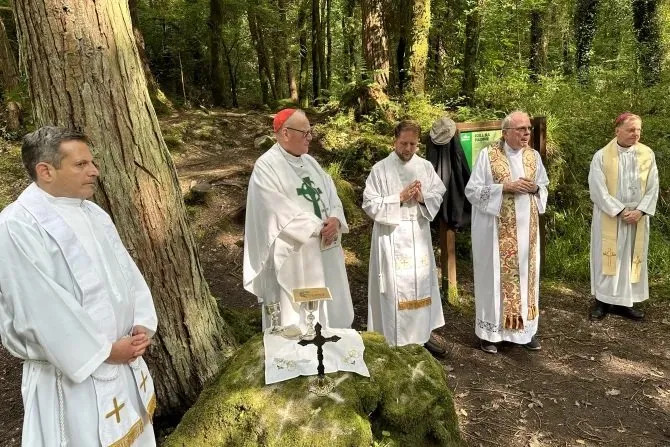 Đức Hồng Y người Mỹ dâng Thánh lễ trên tảng đá giữa rừng: Dấu tích của đức tin