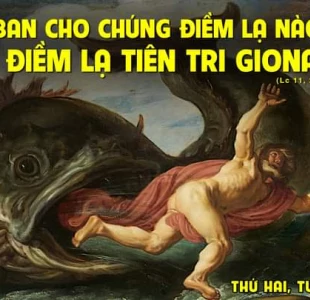 Tìm kiếm dấu lạ (16.10.2023 – Thứ Hai Tuần 28 TN)