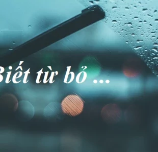 Dứt bỏ