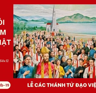Học hỏi Phúc Âm lễ Các Thánh Tử Đạo Việt Nam