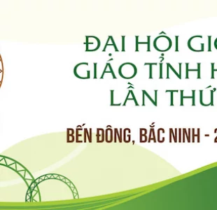 Đại hội Giới trẻ: cơ hội trổ sinh hoa trái