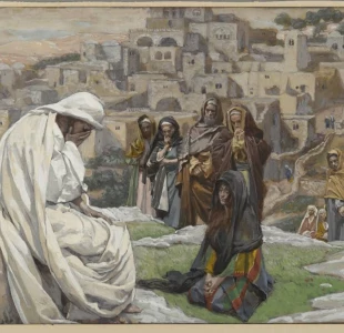 Đức Giêsu khóc (23.11.2023 – Thứ Năm Tuần 33 TN)