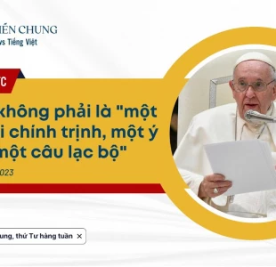 Tiếp kiến chung 22/02: Phúc Âm không phải là "một đảng phái chính trị, một ý thức hệ, một câu lạc bộ"