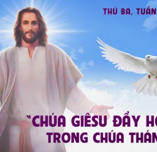 Thánh Thần tác động (05.12.2023 – Thứ Ba Tuần 1 Mùa Vọng)