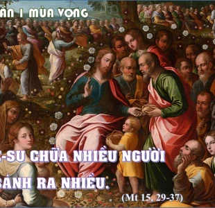 Ăn no nê (06.12.2023 – Thứ Tư Tuần 1 Mùa Vọng)