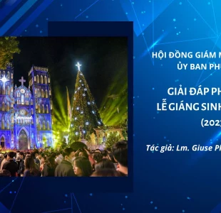 Giải đáp phụng vụ lễ Giáng sinh năm nay (2023)