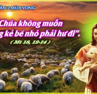 Không muốn ai hư mất (12.12.2023 – Thứ Ba Tuần 2 Mùa Vọng)