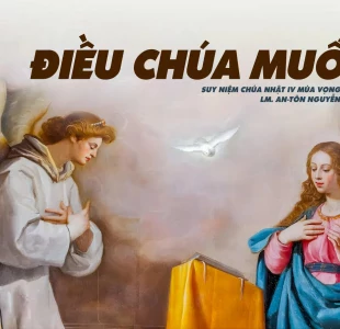 Điều Chúa muốn – Chúa nhật IV mùa Vọng – Năm B